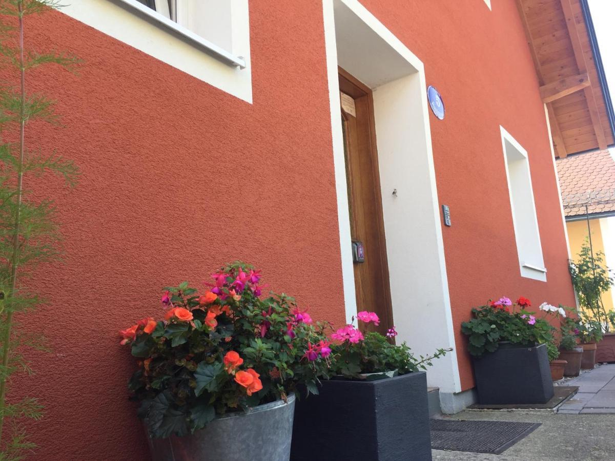 Book-A-Room Salzburg Apartment 5-6-7-8 エクステリア 写真