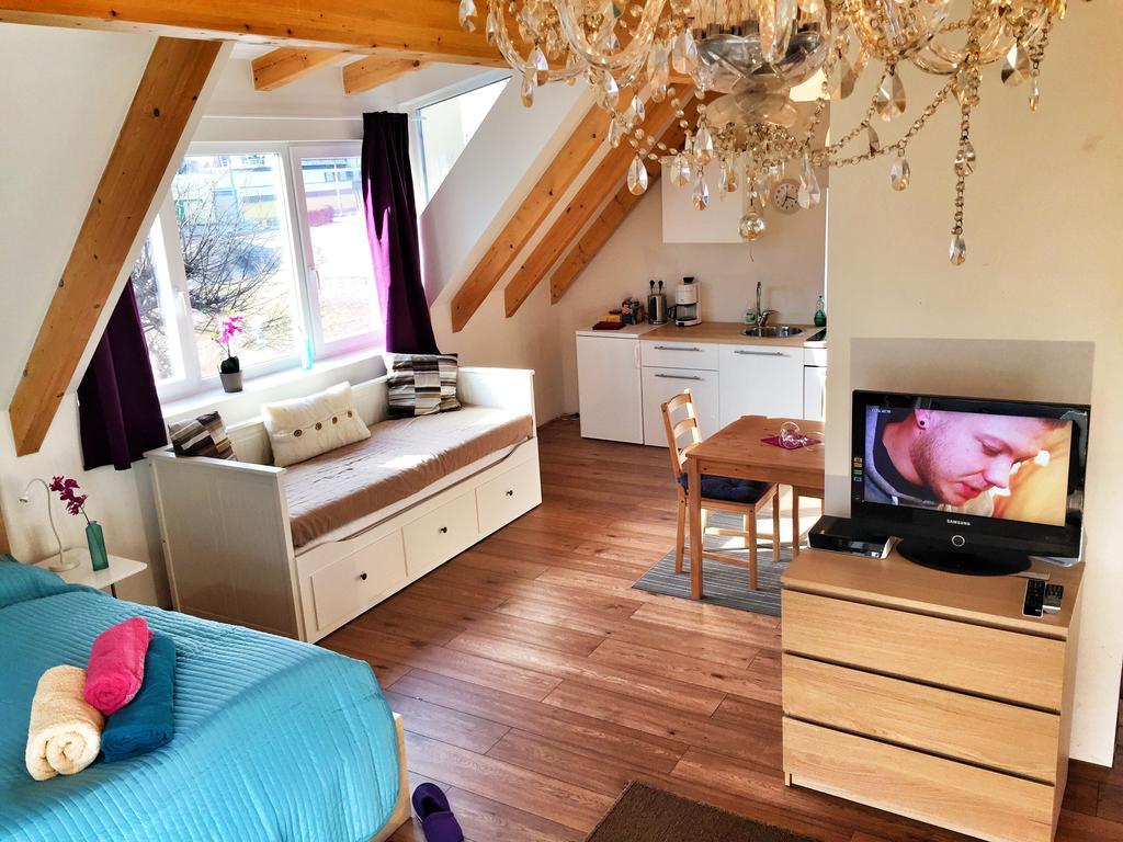 Book-A-Room Salzburg Apartment 5-6-7-8 部屋 写真