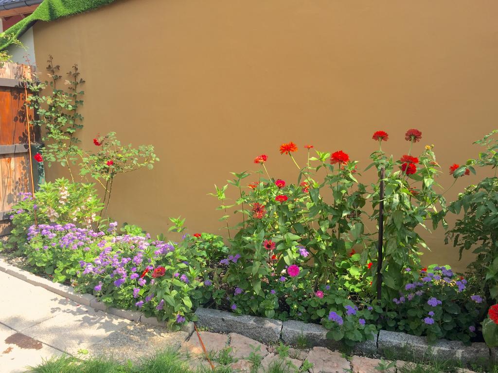 Book-A-Room Salzburg Apartment 5-6-7-8 エクステリア 写真